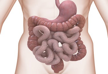 Best Natural Treatments for Heartburn, GERD, and Indigestion