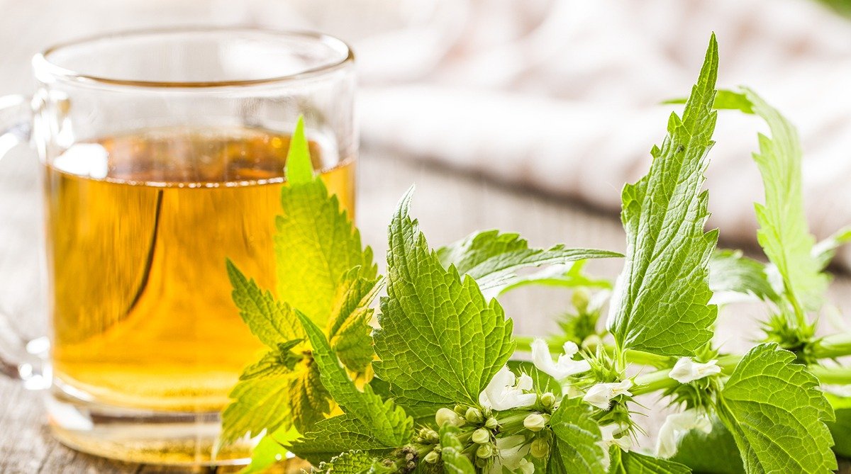 Nettle Tea for spring detox